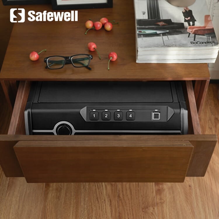 Hidden Portable Hand Gun safes