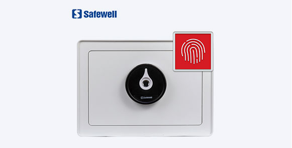 fingerprint safe